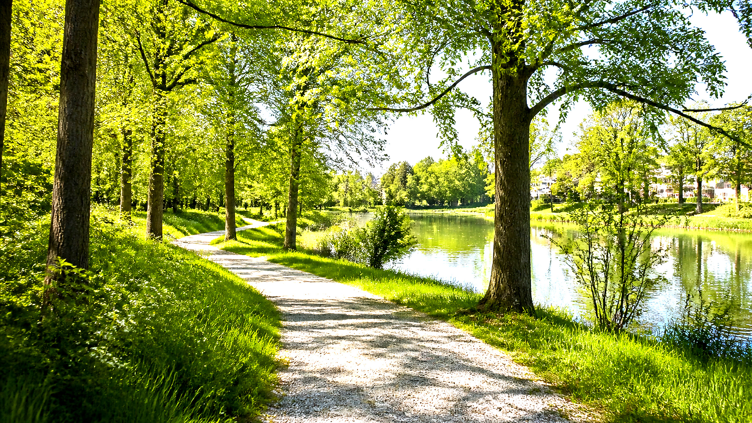 Breiter Waldweg im Linzer Naherholungsgebiet Wasserwald