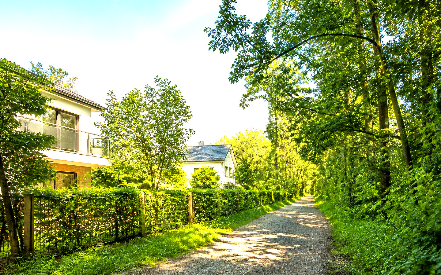 Freiraum vor der Haustür als helles Symbolbild für wasserwald.com