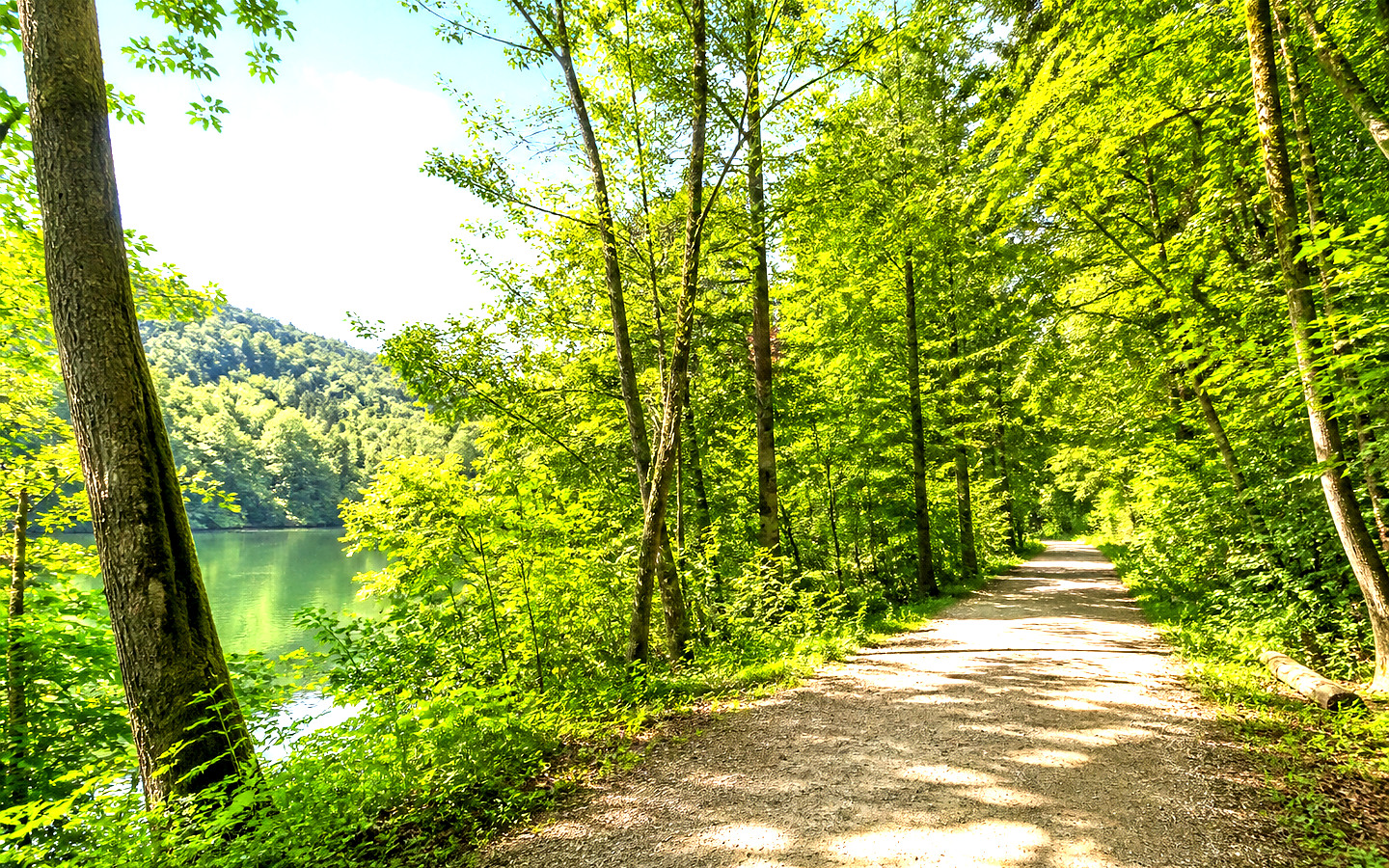 Scharlinz und Umgebung als helles Symbolbild für wasserwald.com